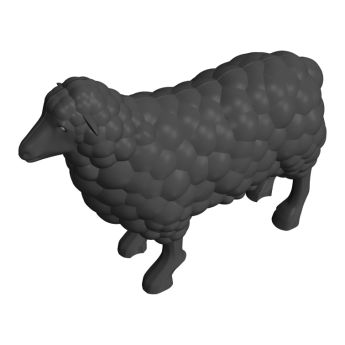 Sheep