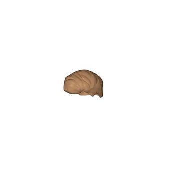 Boy's hair