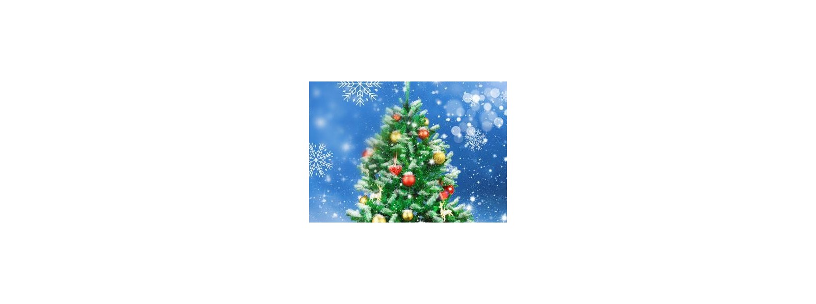 Season's Greetings